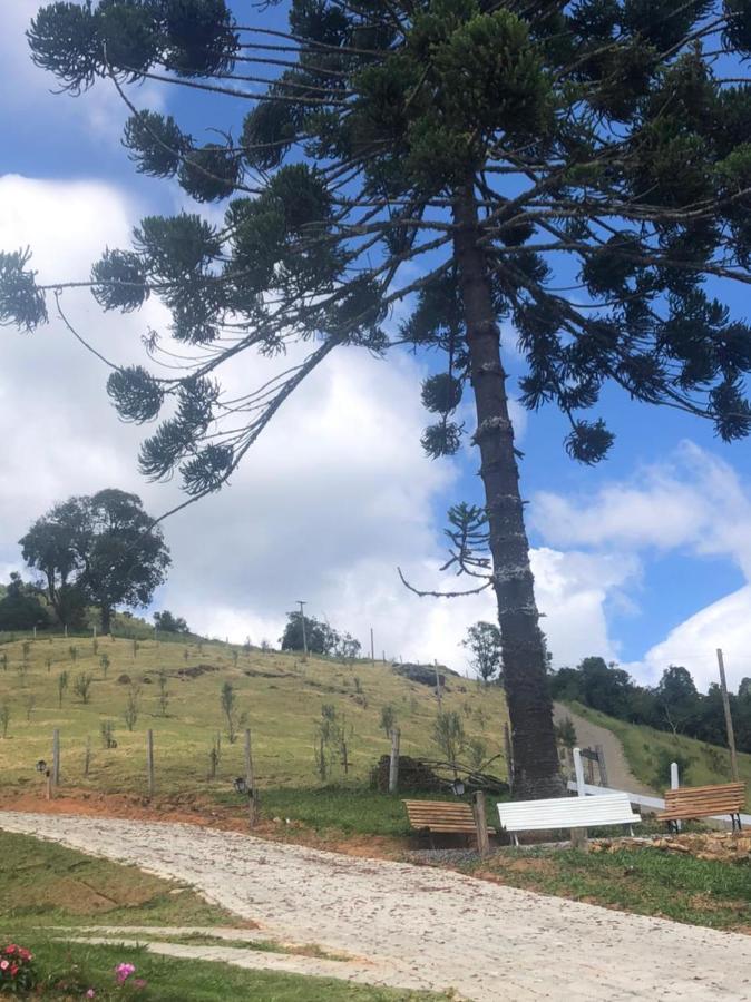 Chales Cantinho Do Ceu Monte Verde  Eksteriør billede